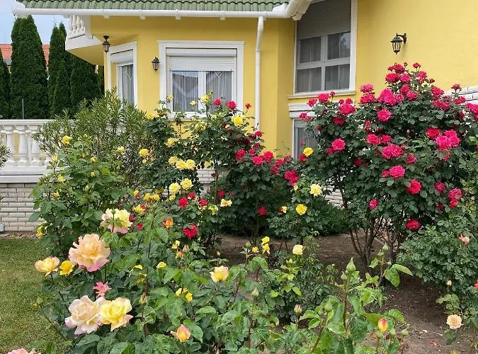 Margareta Apartmanhaz Διαμέρισμα